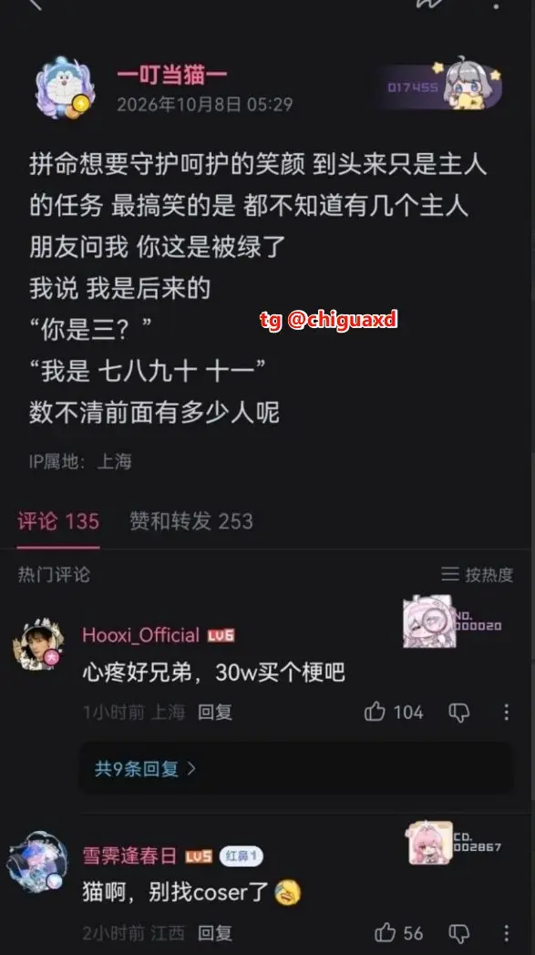 B站200万粉丝UP主 叮当猫